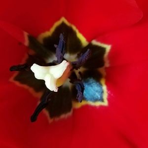 Meet your Posher, Sonia